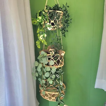 Welkom In De Jungle Oase! *